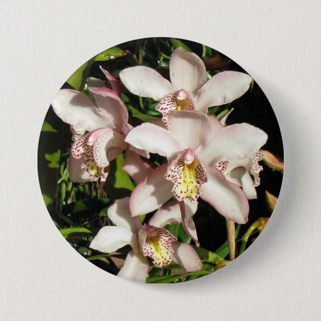 Badge Rond 7,6 Cm Bouton Orchidées du Cymbidium (Devant)