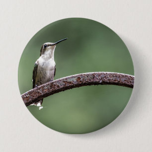 Badge Rond 7,6 Cm Bouton Petit Colibri