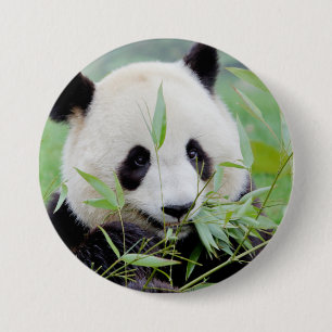 Badge Rond 7,6 Cm Bouton Photo panda géant, animaux 0026.