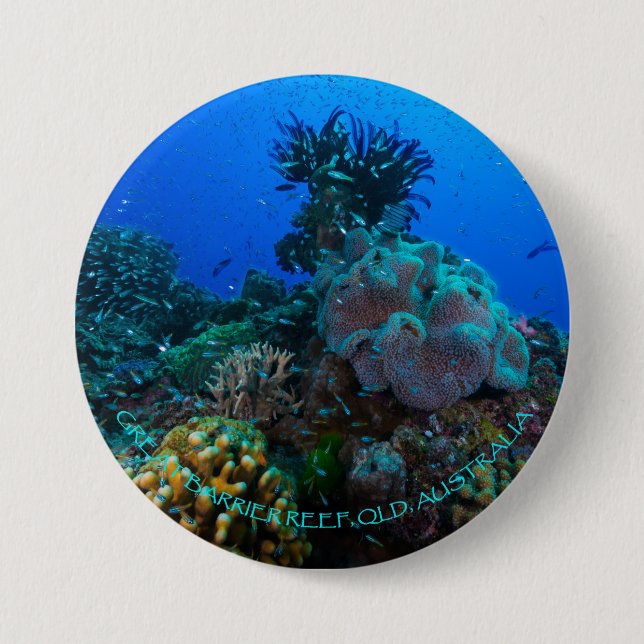 Badge Rond 7,6 Cm Bouton rond de mer de corail (Devant)