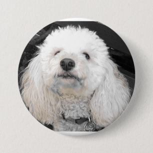 Badge Rond 7,6 Cm Boutons de chien MaltiPoo