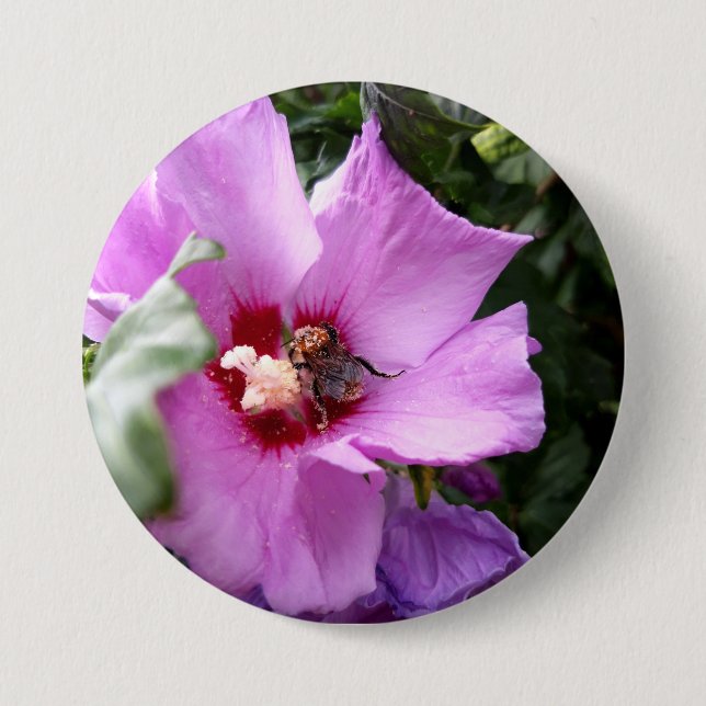 Badge Rond 7,6 Cm Bumblebebe sur la fleur d'Hibiscus (Devant)