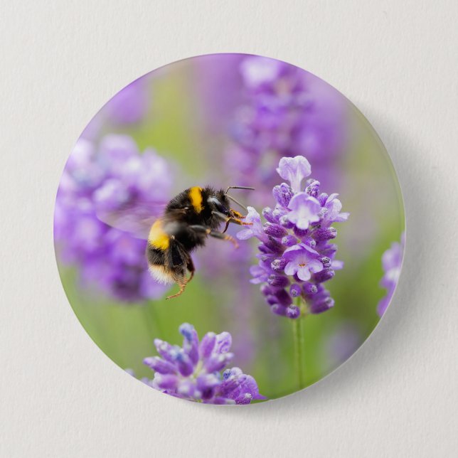 Badge Rond 7,6 Cm Bumblebebe Sur Lavender (Devant)