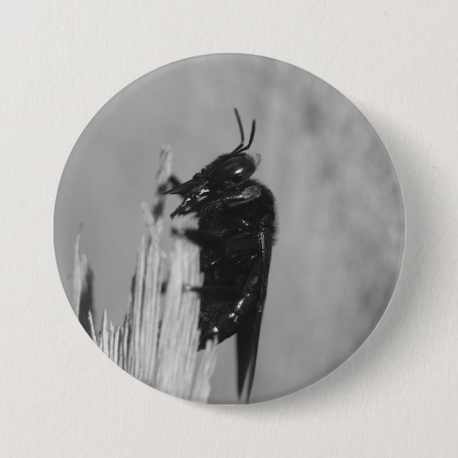 Badge Rond 7,6 Cm Bumblebee (Devant)