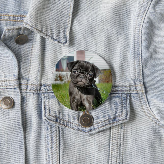 Badge Rond 7,6 Cm carlin DISPONIBLE (En situation)