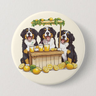 Badge Rond 7,6 Cm Chiens De Montagne Bernois Couchant Un Socle De Le