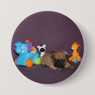 Badge Rond 7,6 Cm chiot bouledogue français