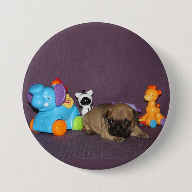 Badge Rond 7,6 Cm chiot bouledogue français (Devant)