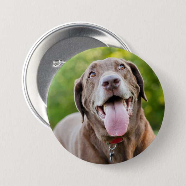 Badge Rond 7,6 Cm Chocolate Labrador Dog (Devant & derrière)