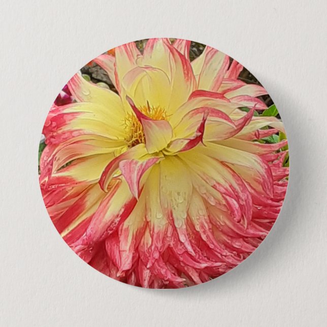 Badge Rond 7,6 Cm Dahlia rose et jaune (Devant)