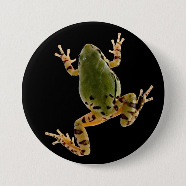 Badge Rond 7,6 Cm Escalade Arizona Tree Frog Photographie (Devant)