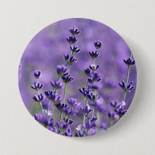 Badge Rond 7,6 Cm Fleurs de lavande mignonne violet