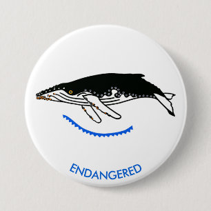 Badge Rond 7,6 Cm Graphisme - Baleine à bosse - Faune - Nature-