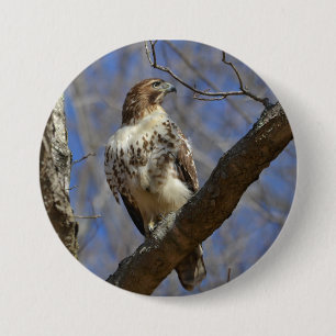 Badge Rond 7,6 Cm Hawk Majestic