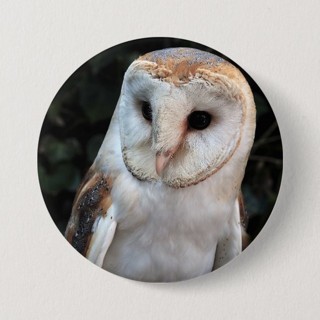 Badge Rond 7,6 Cm Hibou de grange blanc (Devant)