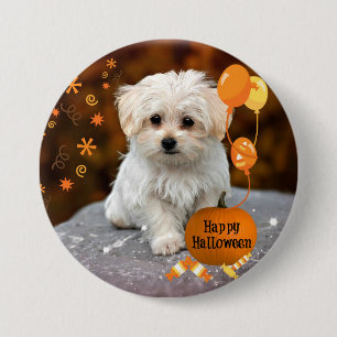 Badge Rond 7,6 Cm Joli chiot maltais célèbre Halloween