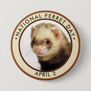 Badge Rond 7,6 Cm Journée nationale des furets