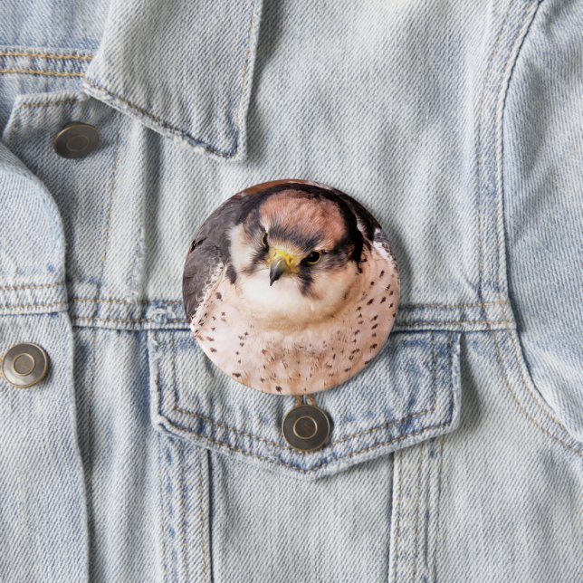 BADGE ROND 7,6 CM LANNER FALCON (En situation)