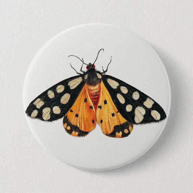 Badge Rond 7,6 Cm Moth (Devant)
