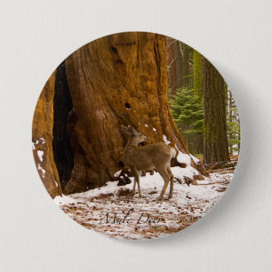 Badge Rond 7,6 Cm Mule Deer