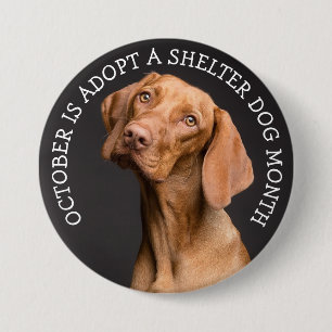 Badge Rond 7,6 Cm Octobre est le mois de l'adoption d'un refuge pour