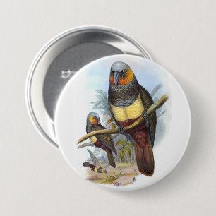 Badge Rond 7,6 Cm Oiseau perroquet vintage PE_GC - Bouton rond