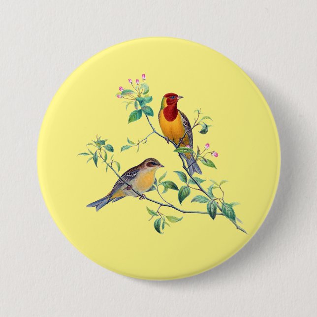 Badge Rond 7,6 Cm Oiseaux à fanions,  (Devant)