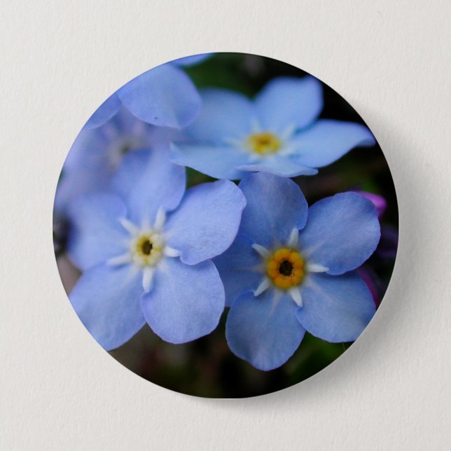 Badge Rond 7,6 Cm Oubliez-moi les fleurs bleues (Devant)