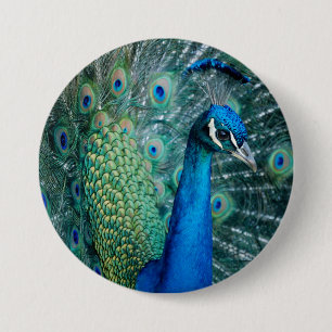Badge Rond 7,6 Cm Paon, grand bouton