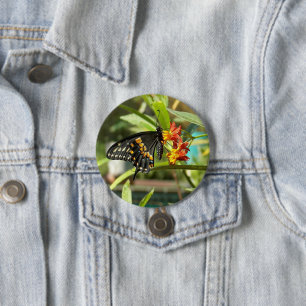 Badge Rond 7,6 Cm Papillon noir à queue noire #2