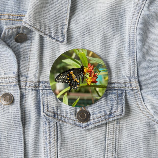 Badge Rond 7,6 Cm Papillon noir à queue noire #2 (En situation)