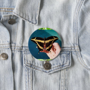 Badge Rond 7,6 Cm Papillon swallowtail géant