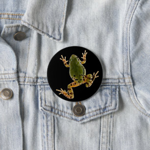 Badge Rond 7,6 Cm Photographie de grenouille arboricole de l'Arizona
