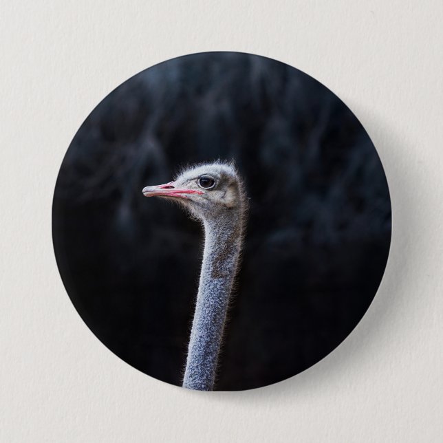 Badge Rond 7,6 Cm portrait d'autruche (Devant)