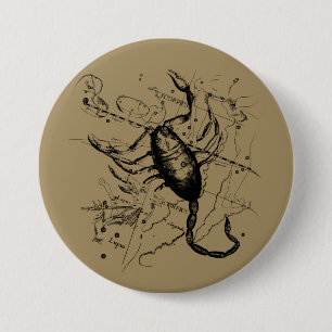 Badge Rond 7,6 Cm Scorpio Constellation Hevelius vers 1690 Vintage