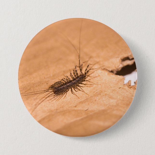 Badge Rond 7,6 Cm Scutigère (Devant)