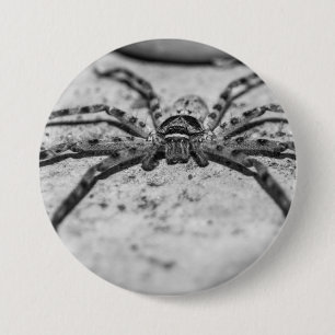 Badge Rond 7,6 Cm Spider Huntsman