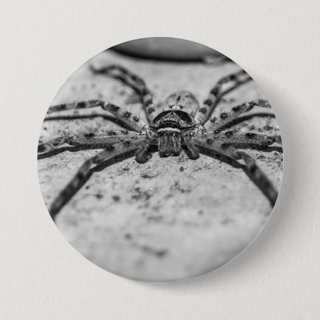 Badge Rond 7,6 Cm Spider Huntsman (Devant)