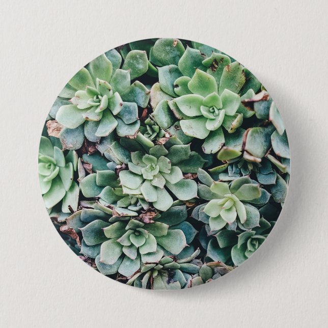 Badge Rond 7,6 Cm Succulents 2 (Devant)