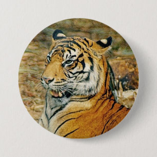 Badge Rond 7,6 Cm Tigre