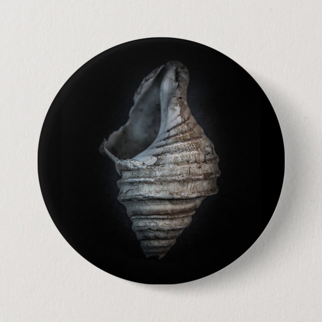 Badge Rond 7,6 Cm Version couleur Shells No 6 (Devant)
