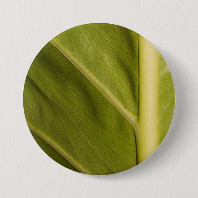 Badge Rond 7,6 Cm Vert 01 (Devant)