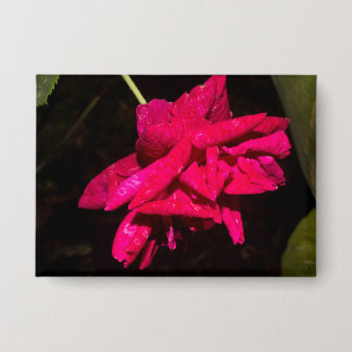 Badge Rose de jardin