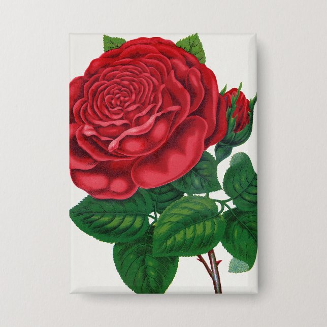Badge Rose Print Rochester Lithographing and Printing Co (Recto)