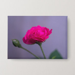 Badge Rosier de jardin rose