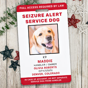 Badge Service Personnalisé Chien de Saisie Alerte Chien