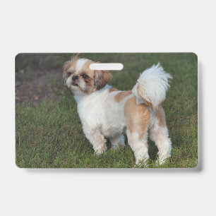 Badge Shih Tzu le plus mignon