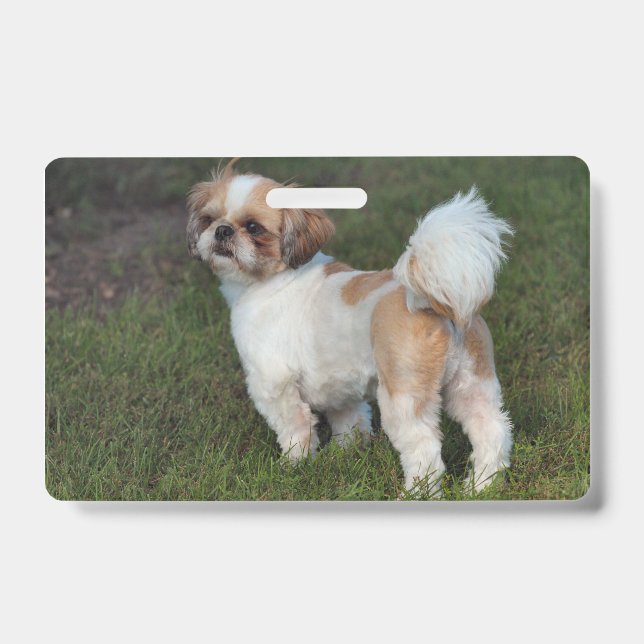 Badge Shih Tzu le plus mignon (Avant)