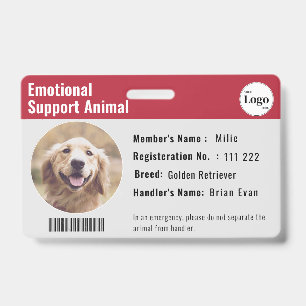 Badge Thérapie ID animal photo Code-barres gris rouge