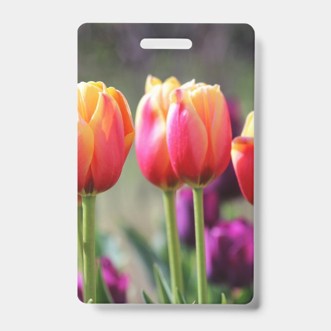 Badge Tulipes Tombées En Flammes (Avant)